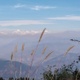 Mayank K.